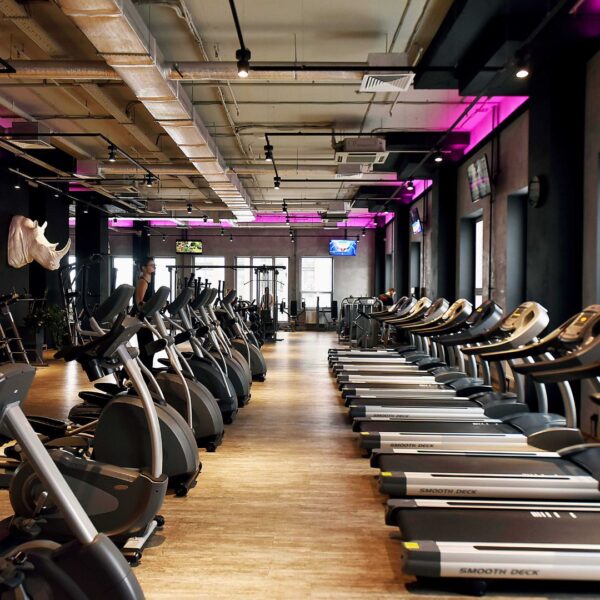Plan Combinado Combat + Performance training 8+8 Sesiones